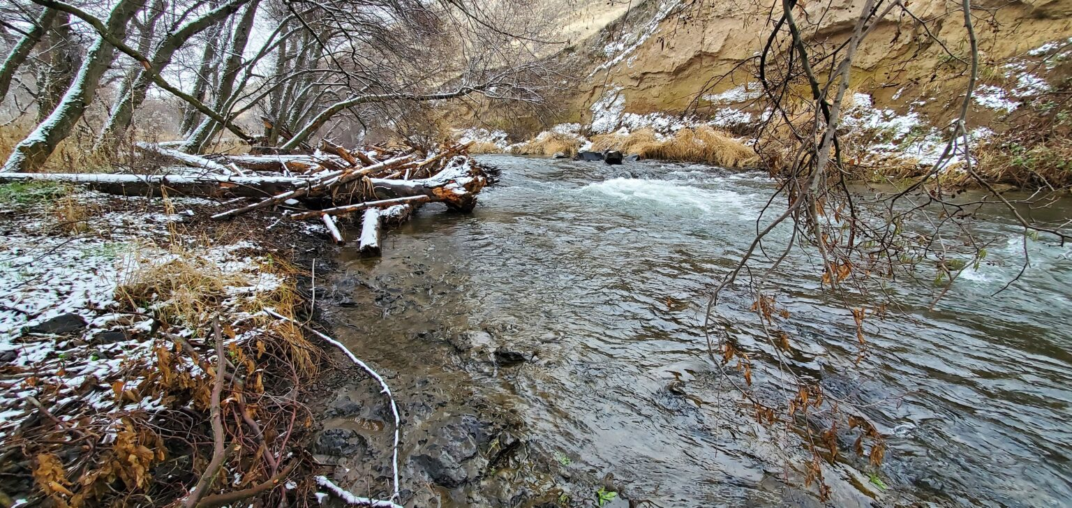 A snowy riverside with bare trees and a fallen log across the stream.