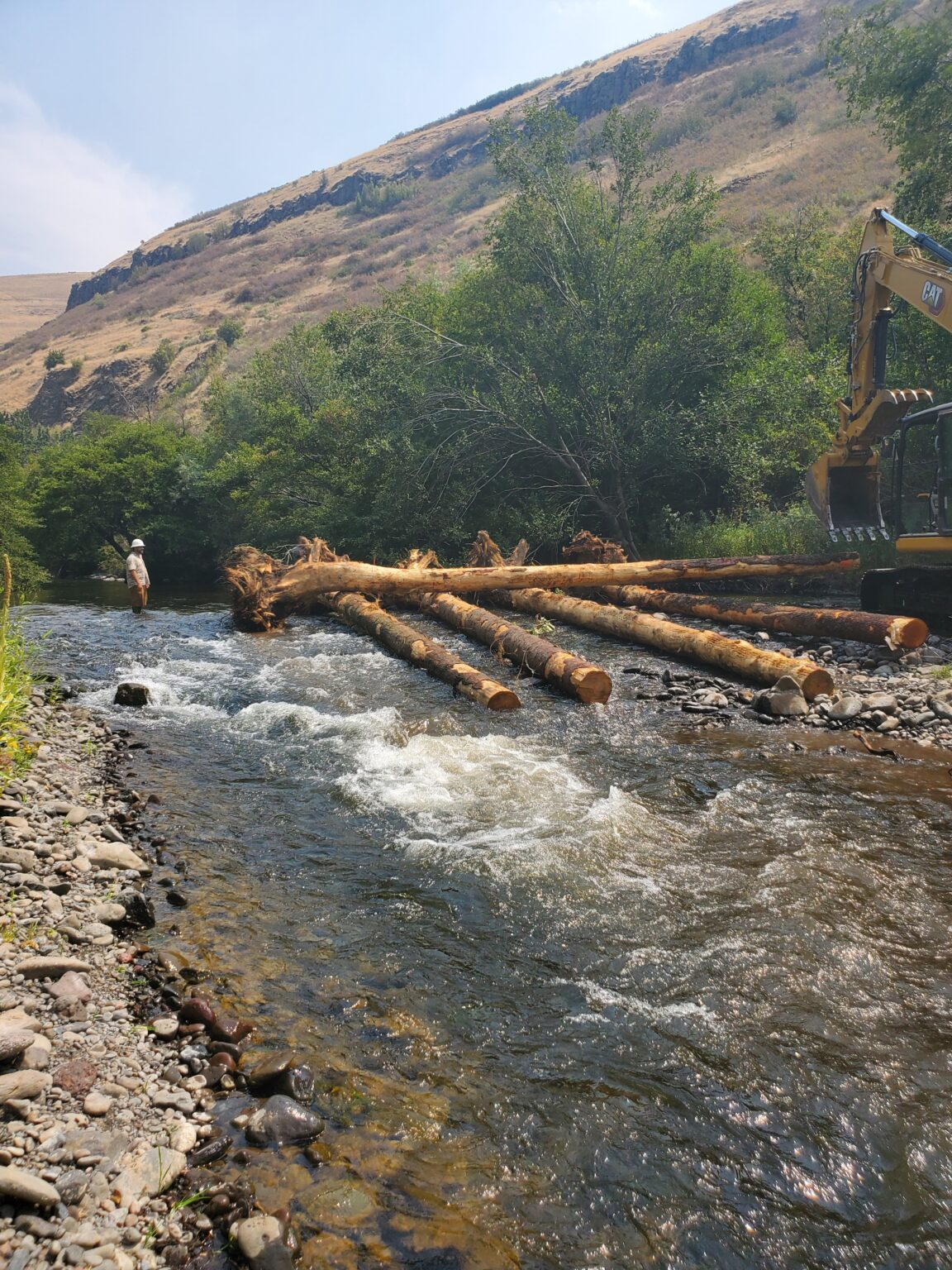 A person fishes in a river near large logs and an excavator, with a hill in the background.