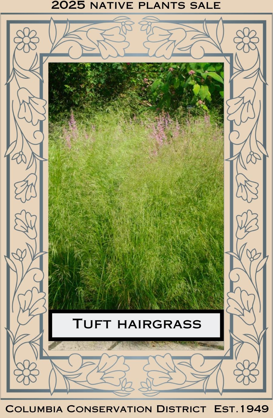 "2025 Native Plants Sale" poster featuring tuft hairgrass, by Columbia Conservation District.