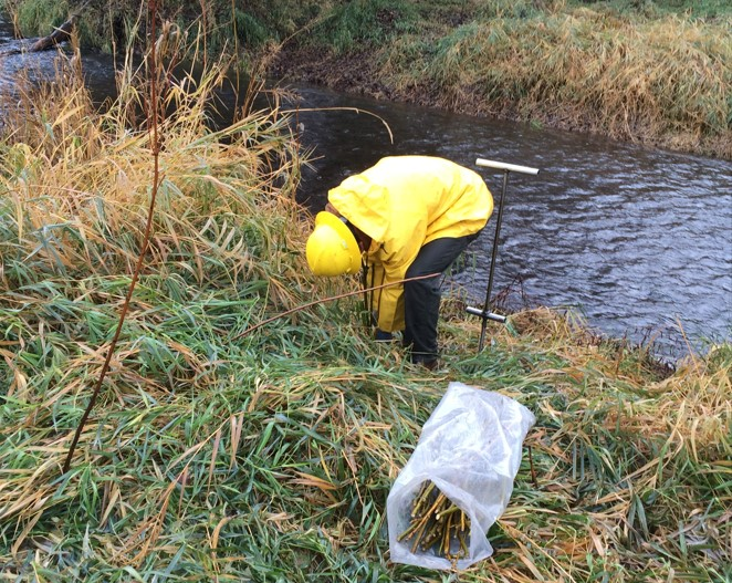 Person in yellow rain gear inspecting a riverbank with equipment, bag of rods nearby.