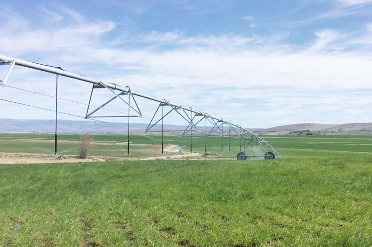 A center pivot irrigation system in a green field under a cloudy sky.