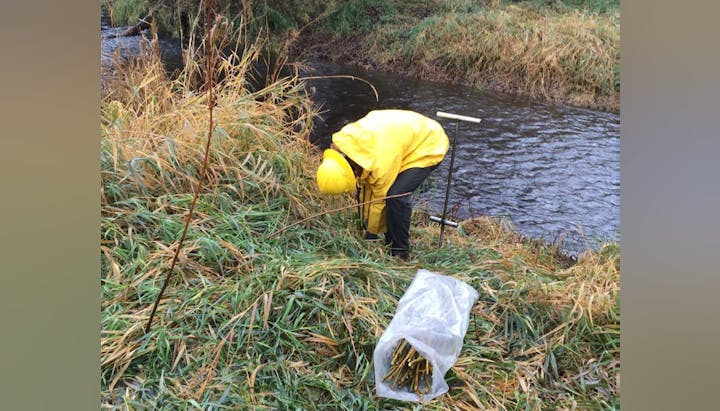 Person in yellow rain gear by a stream with equipment, possibly conducting environmental research or sampling.