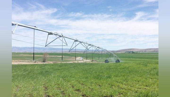 Agricultural field with a center pivot irrigation system against a clear sky.
