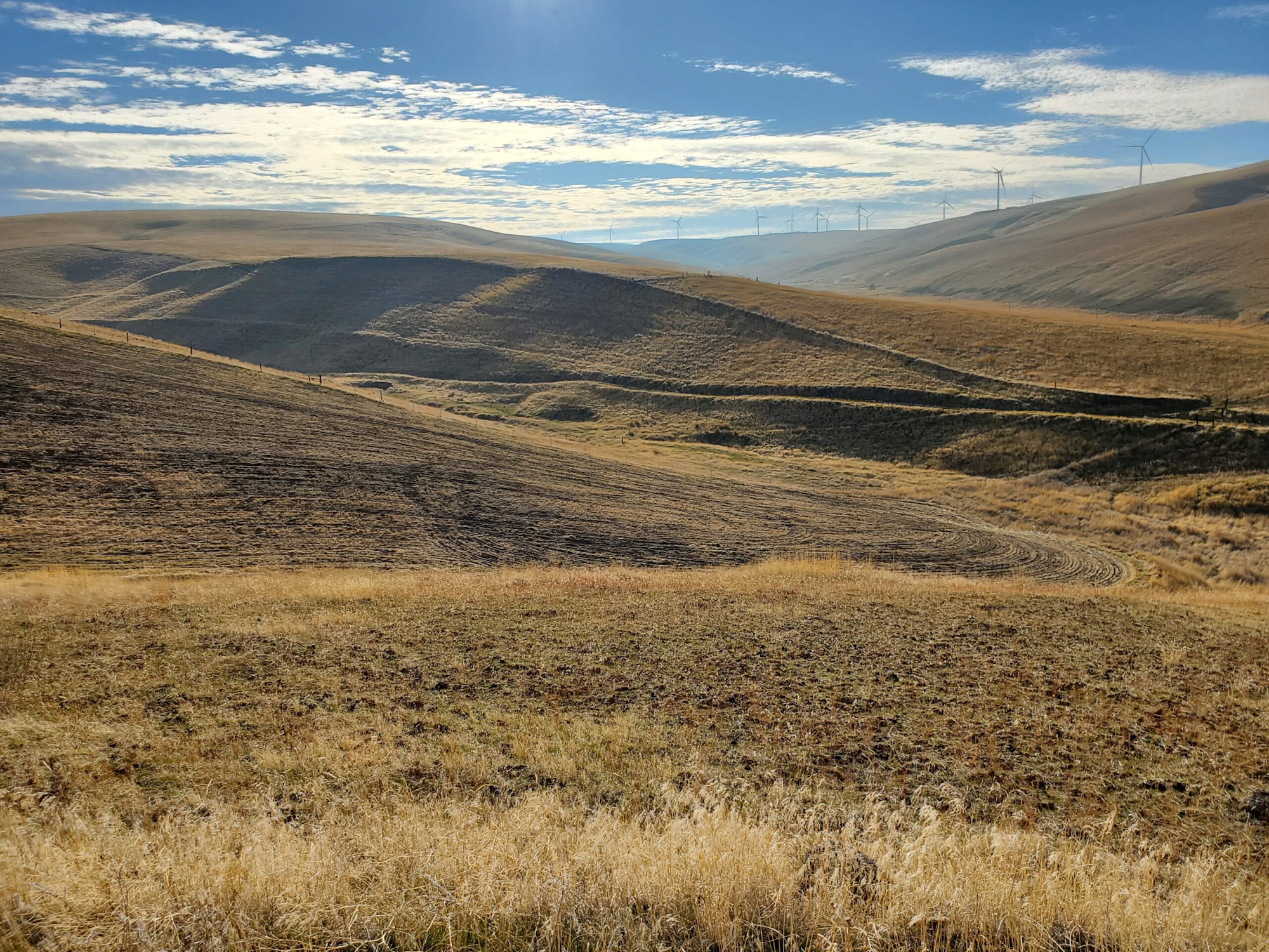 May contain: ground, grass, plant, nature, outdoors, land, scenery, windmill, field, and grassland