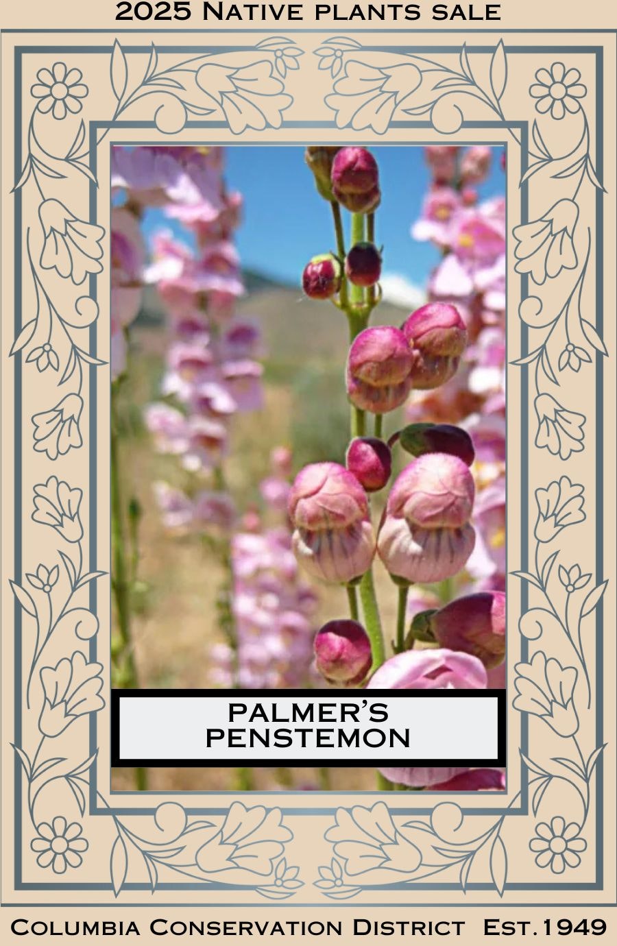 Poster for a 2025 native plant sale featuring Palmer’s Penstemon by Columbia Conservation District.