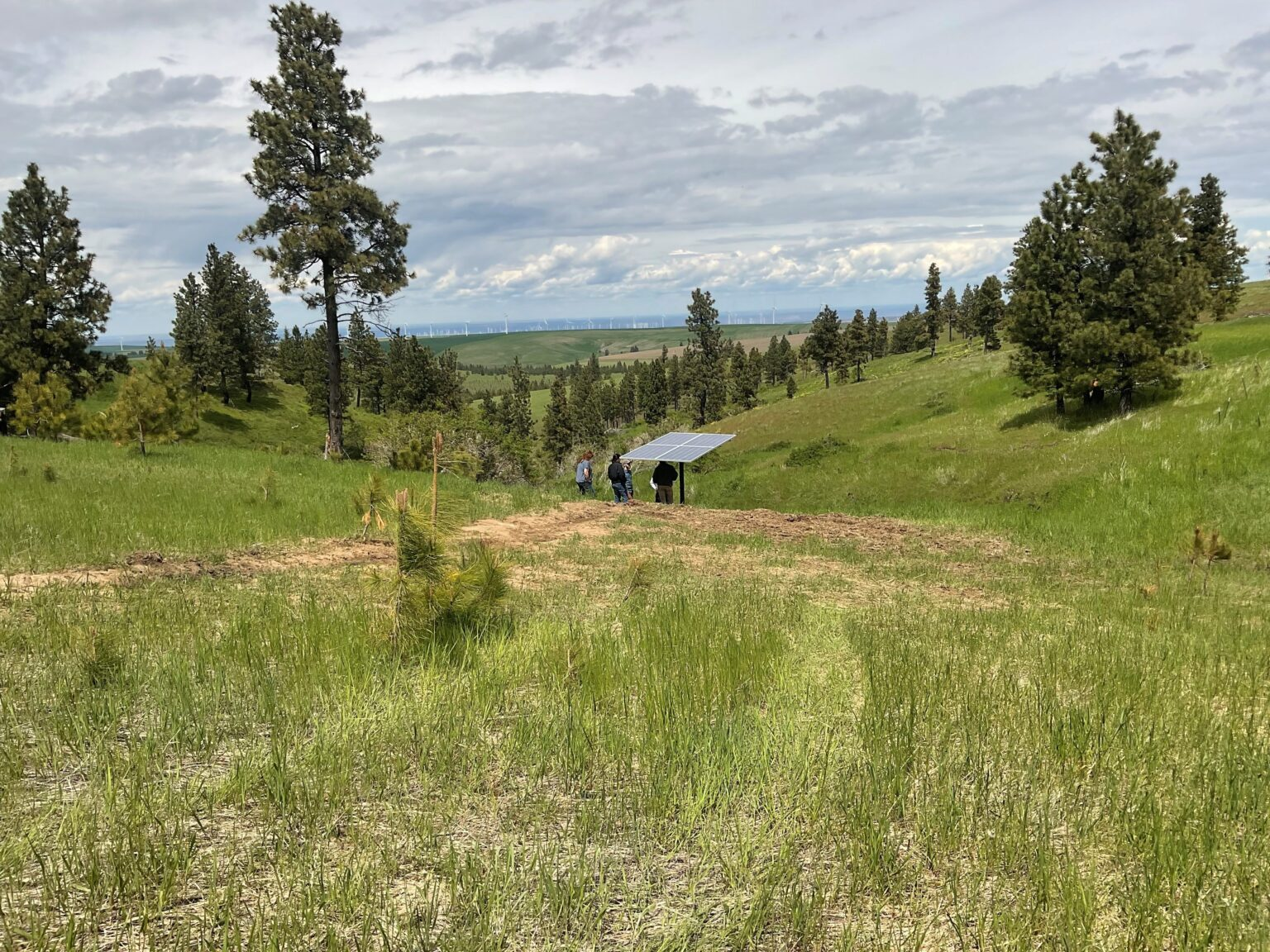 A hilly landscape with trees, grass, a solar panel, and two people under an umbrella.