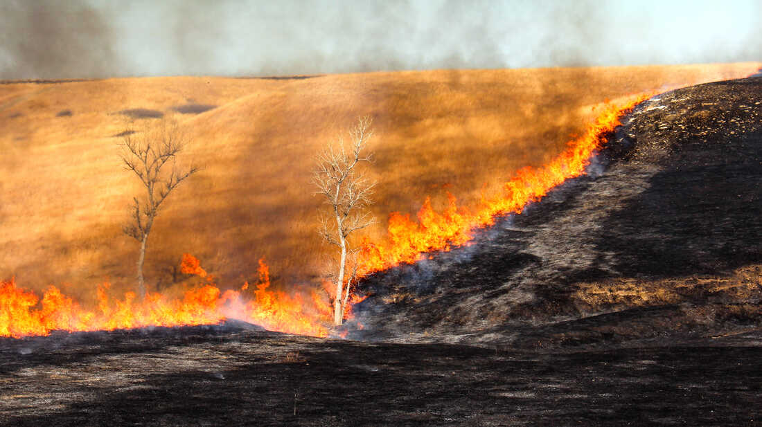 A wildfire consuming dry grass on a hillside with smoke rising and trees in the background.