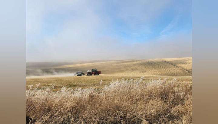Harvesters in a vast, undulating field under a clear sky, kicking up dust.