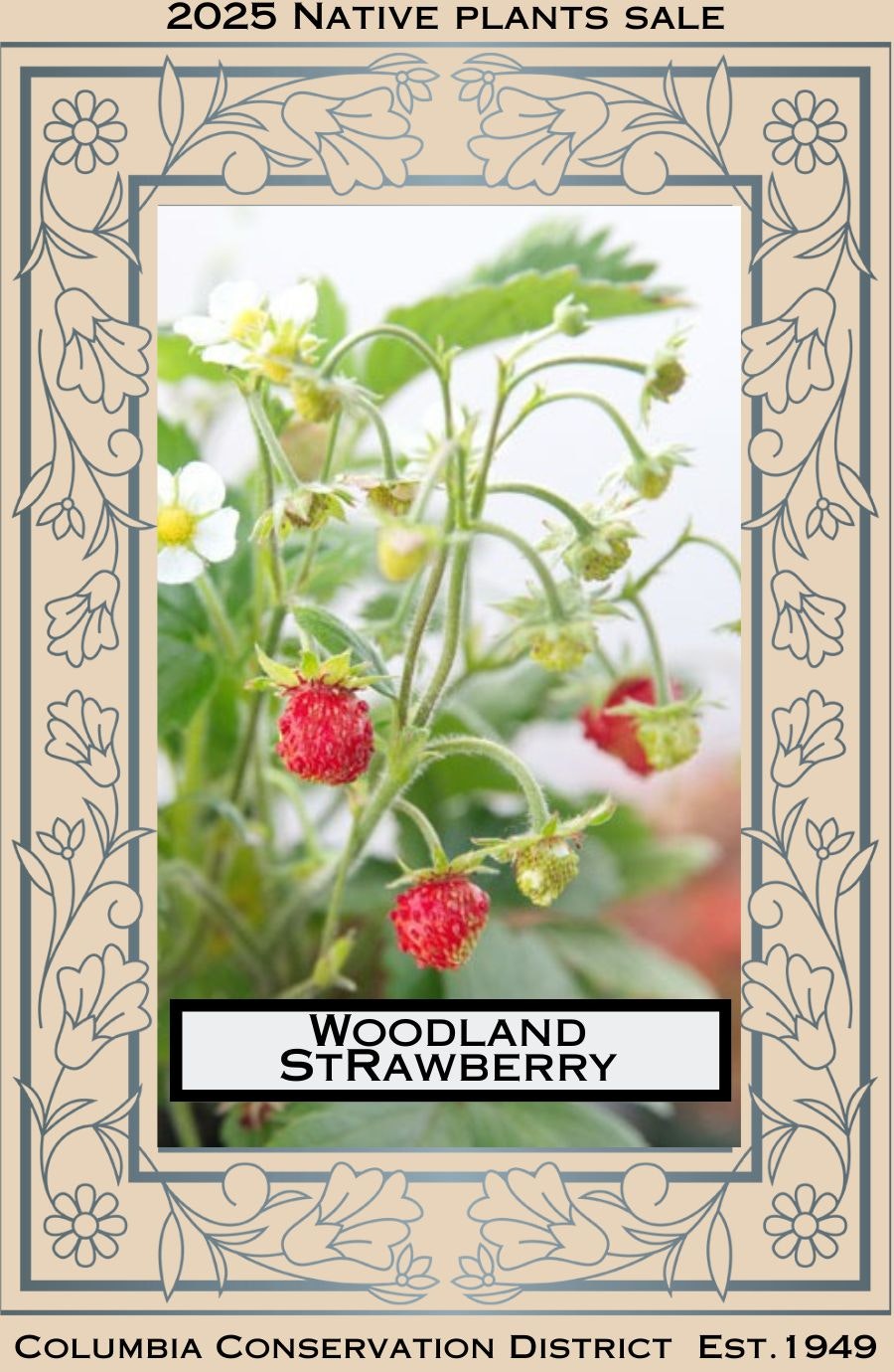 Woodland strawberry plant on a poster for the 2025 Native Plants Sale by Columbia Conservation District.
