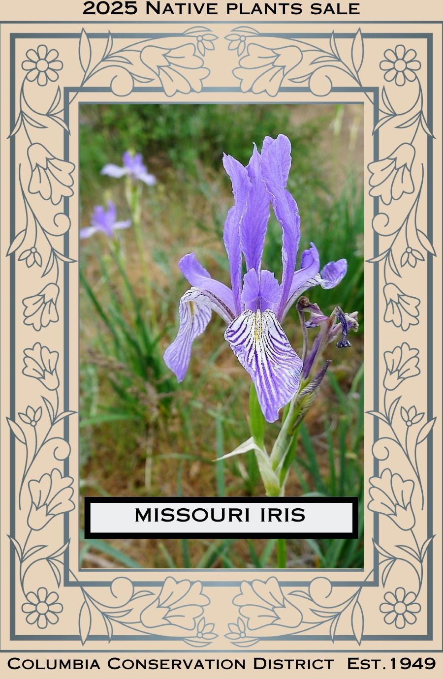 Purple Missouri Iris with decorative border; "2025 Native Plants Sale" and "Columbia Conservation District Est. 1949."