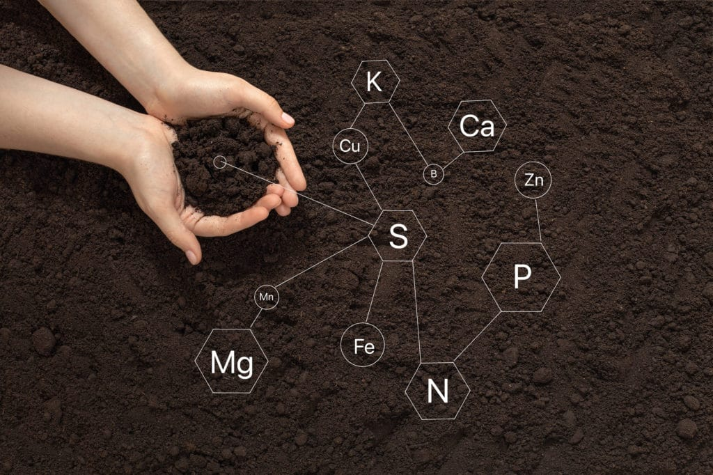 Hands holding soil with superimposed chemical symbols for nutrients essential for plant growth.