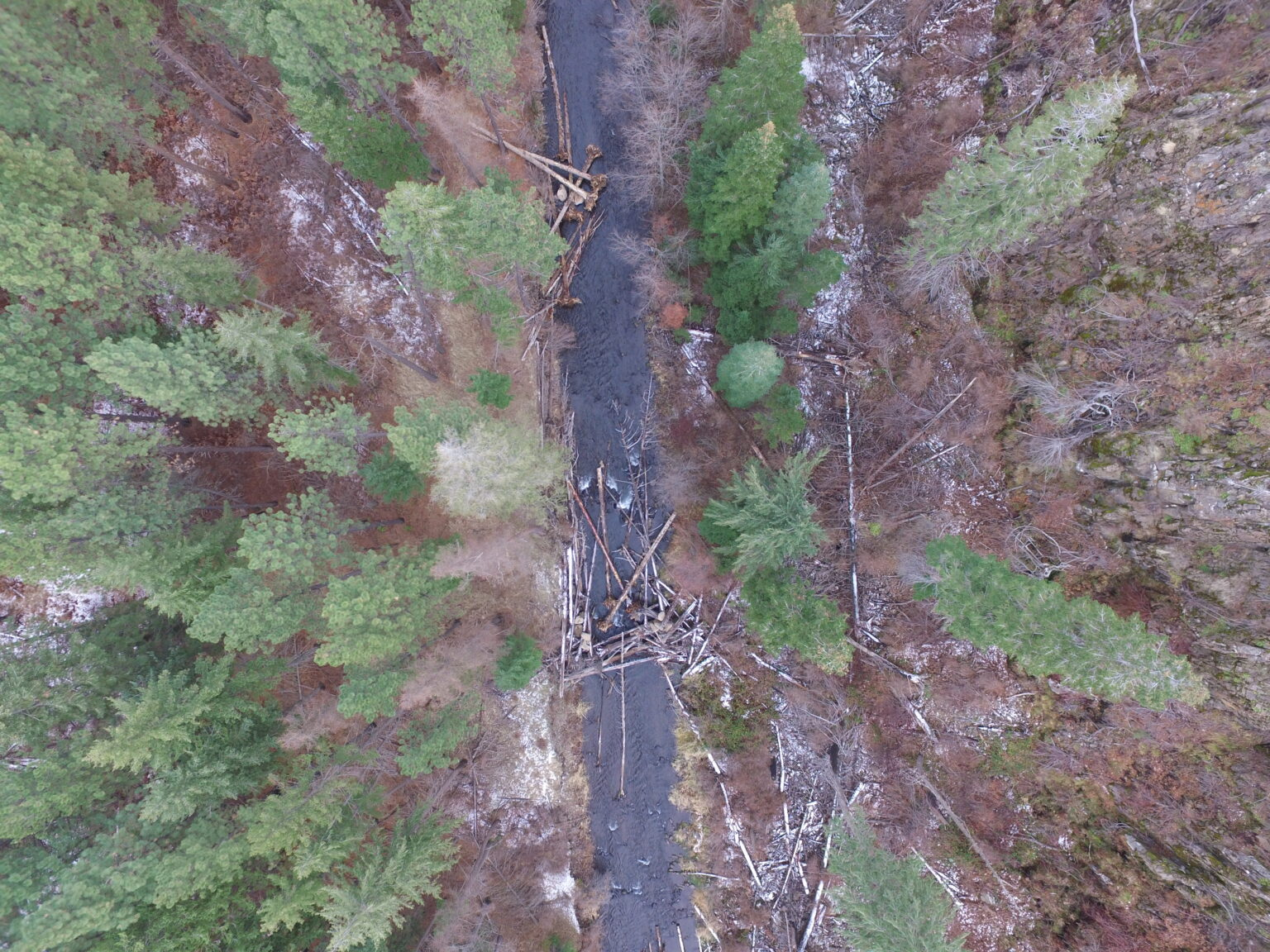 Aerial view of a forest with a stream and a collapsed wooden structure, possibly a bridge.