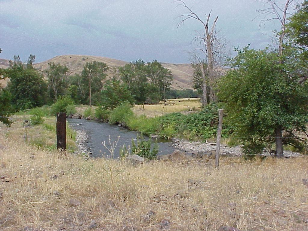 A small river winding through a grassy area with trees and a hill in the background.