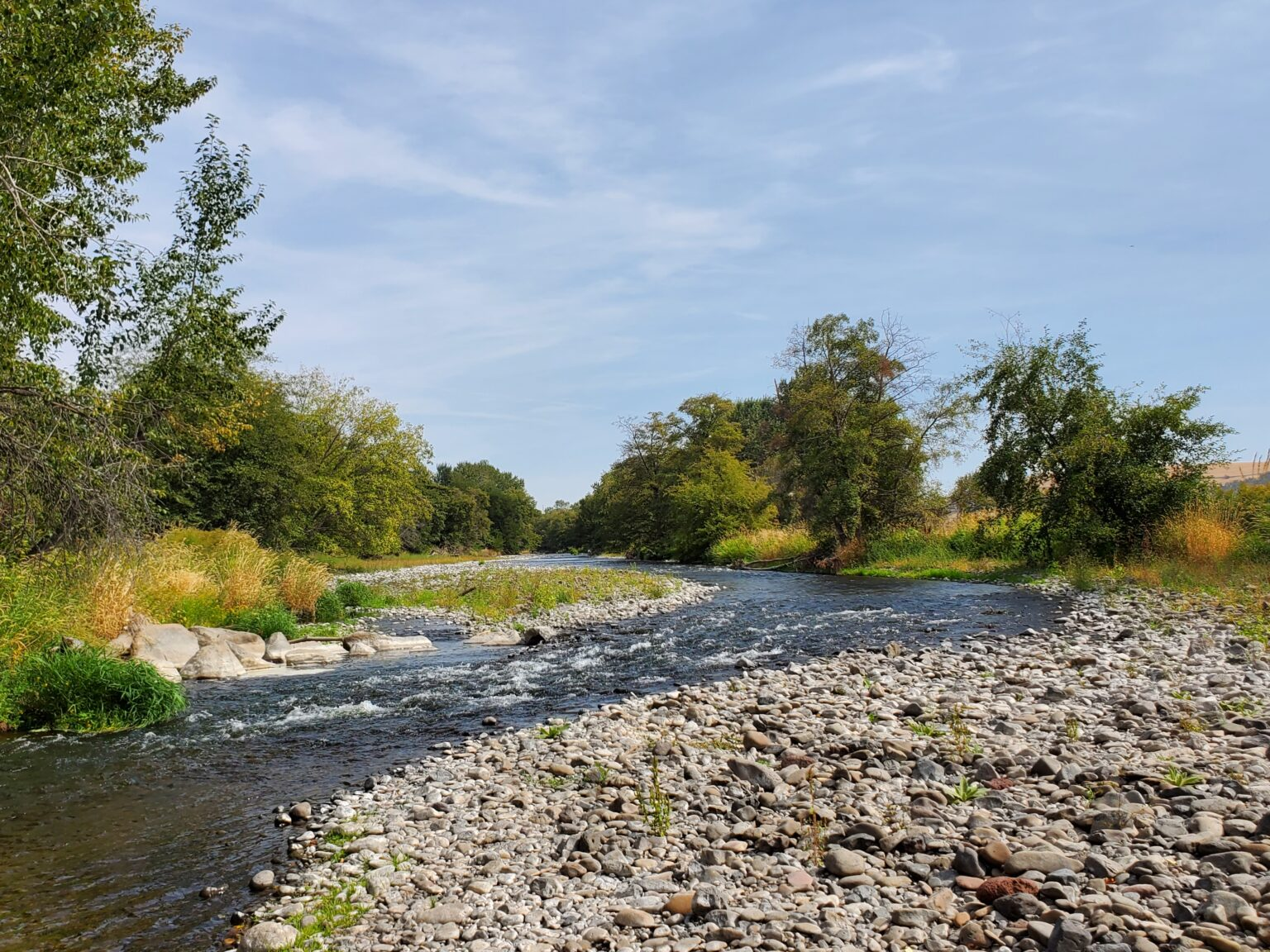 A serene river with rocky banks surrounded by trees and foliage under a clear blue sky.