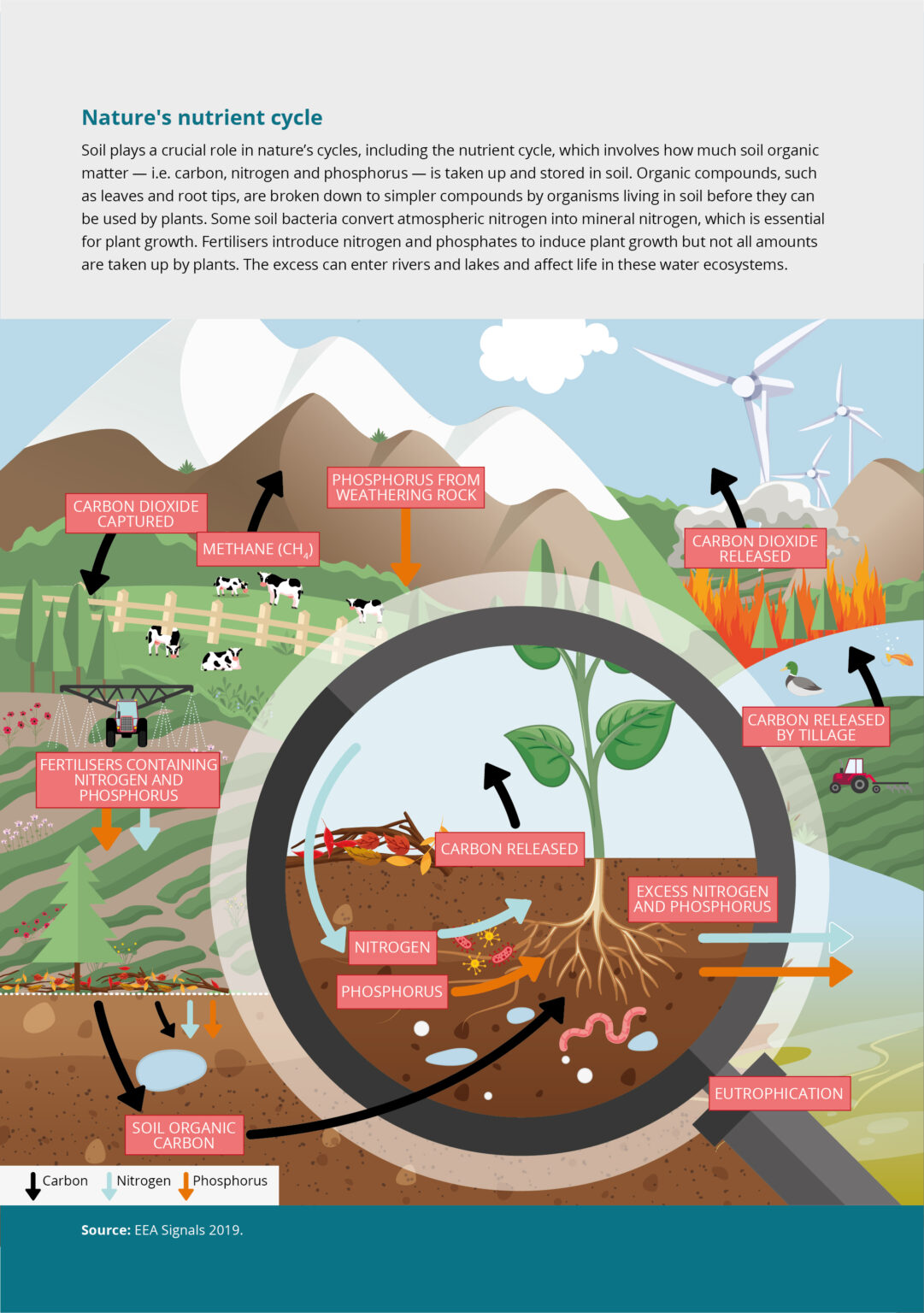 An infographic explaining nature's nutrient cycle, including how soil organic matter, carbon, nitrogen, and phosphorus are cycled in the environment.