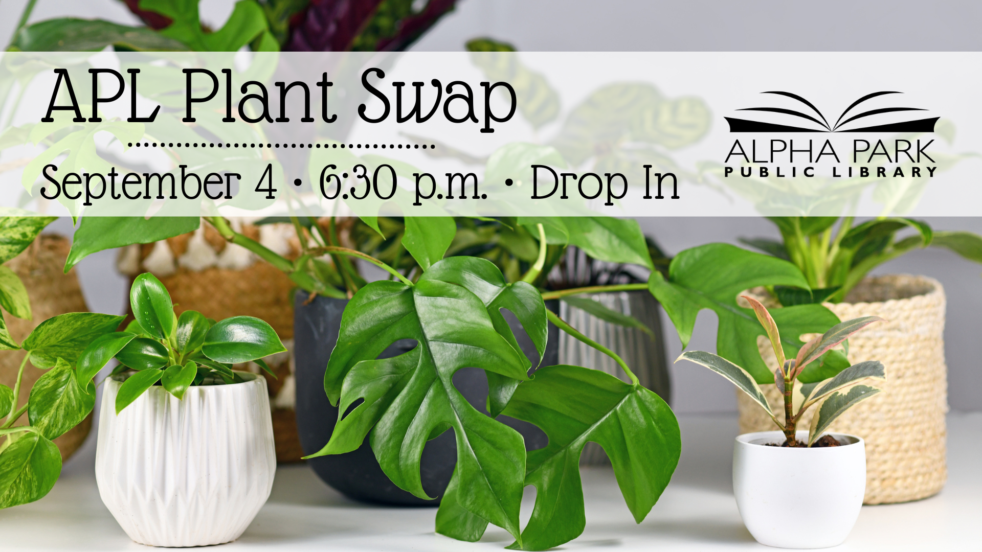 APL Plant Swap event at Alpha Park Library on September 4, 6:30 p.m., with various potted plants shown.