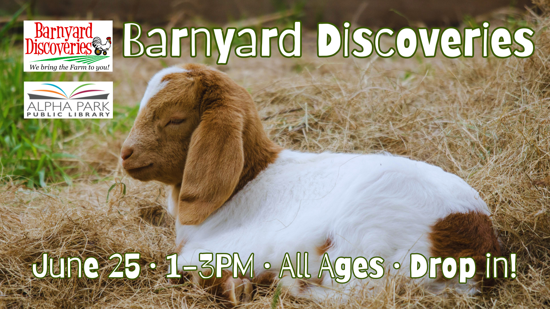 Event for all ages, "Barnyard Discoveries," on June 25, 1-3 PM at Alpha Park Public Library. Drop in to enjoy!