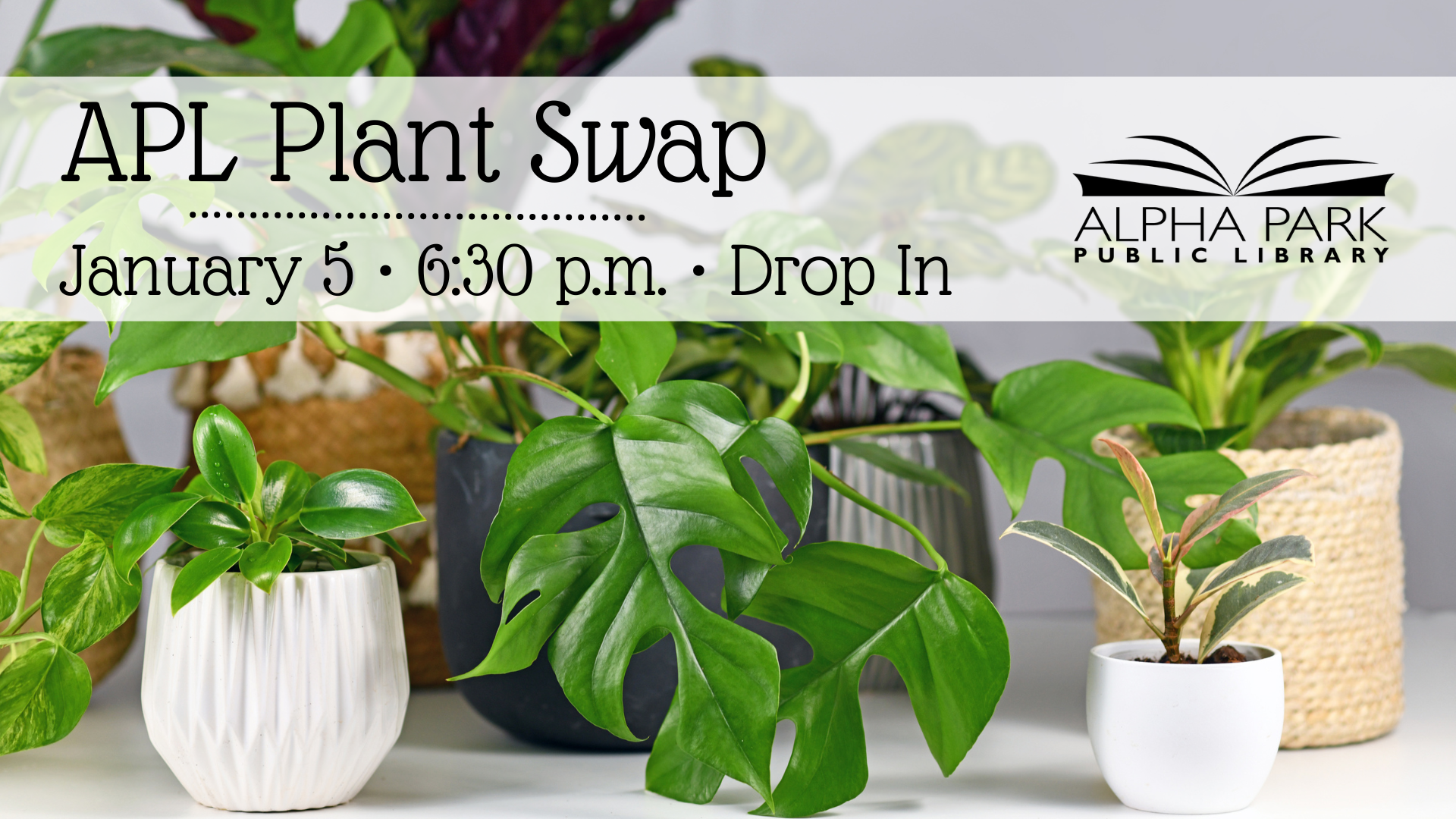 Join the APL Plant Swap on January 5 at 6:30 p.m. at Alpha Park Public Library. Drop in to exchange plants!