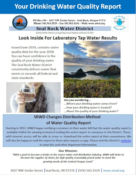 Water Quality Report Screen Shot of first page of report