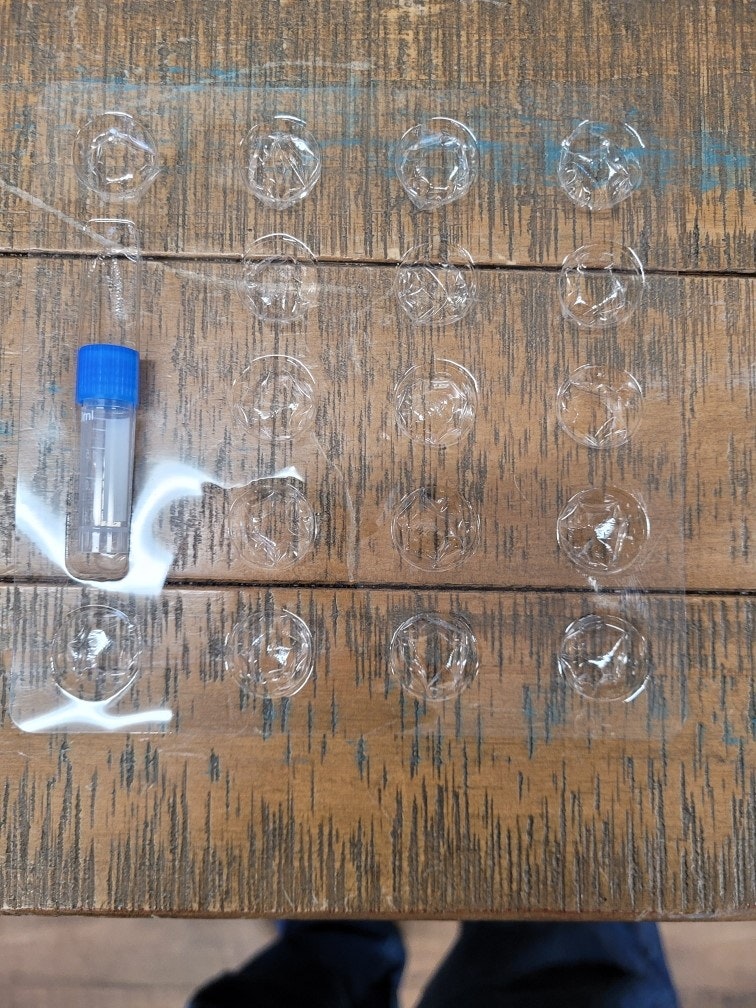 Image of clear plastic blister pack testing tube sent by scammers