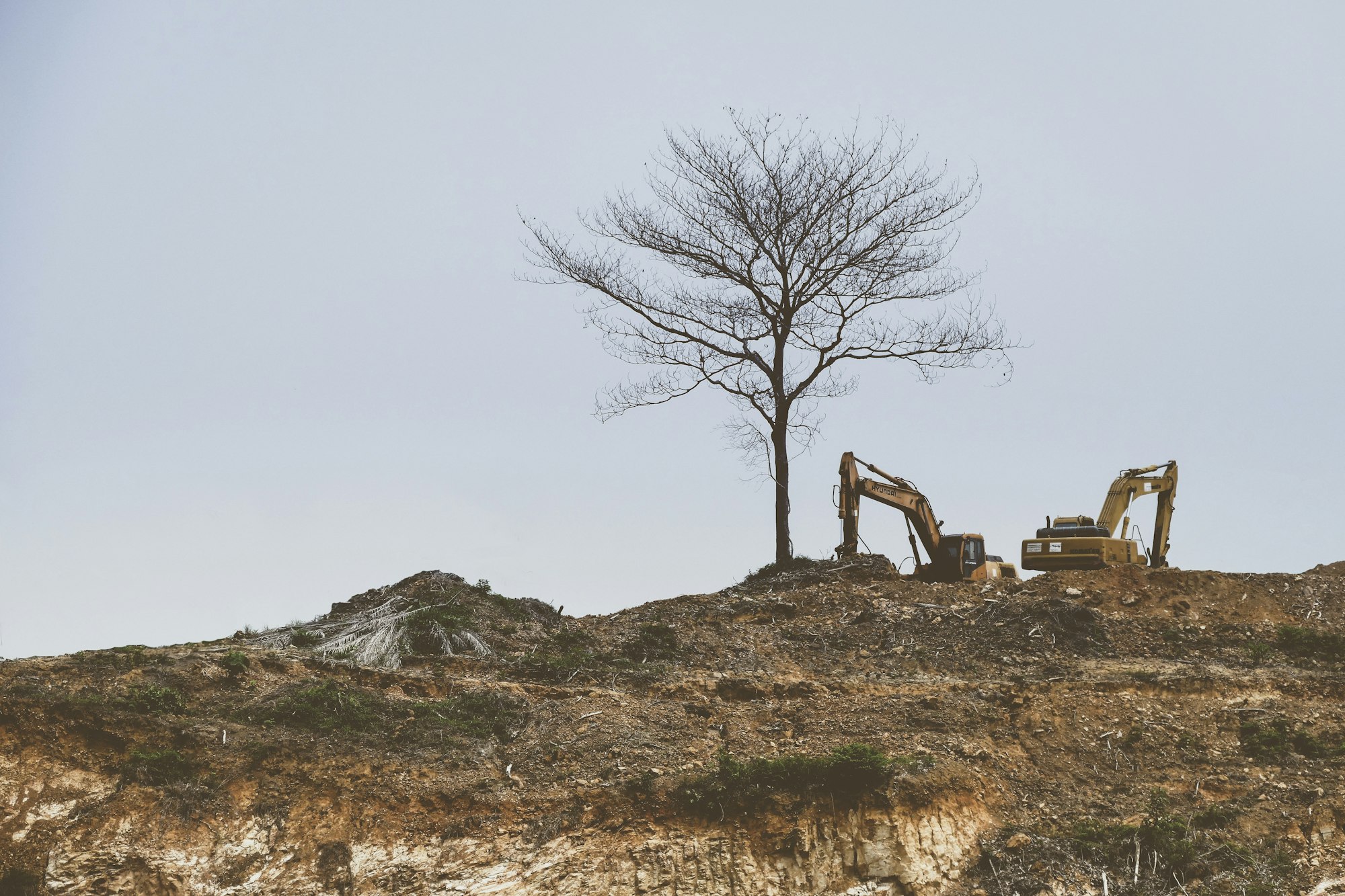 picture of a backhoe & tree on hill