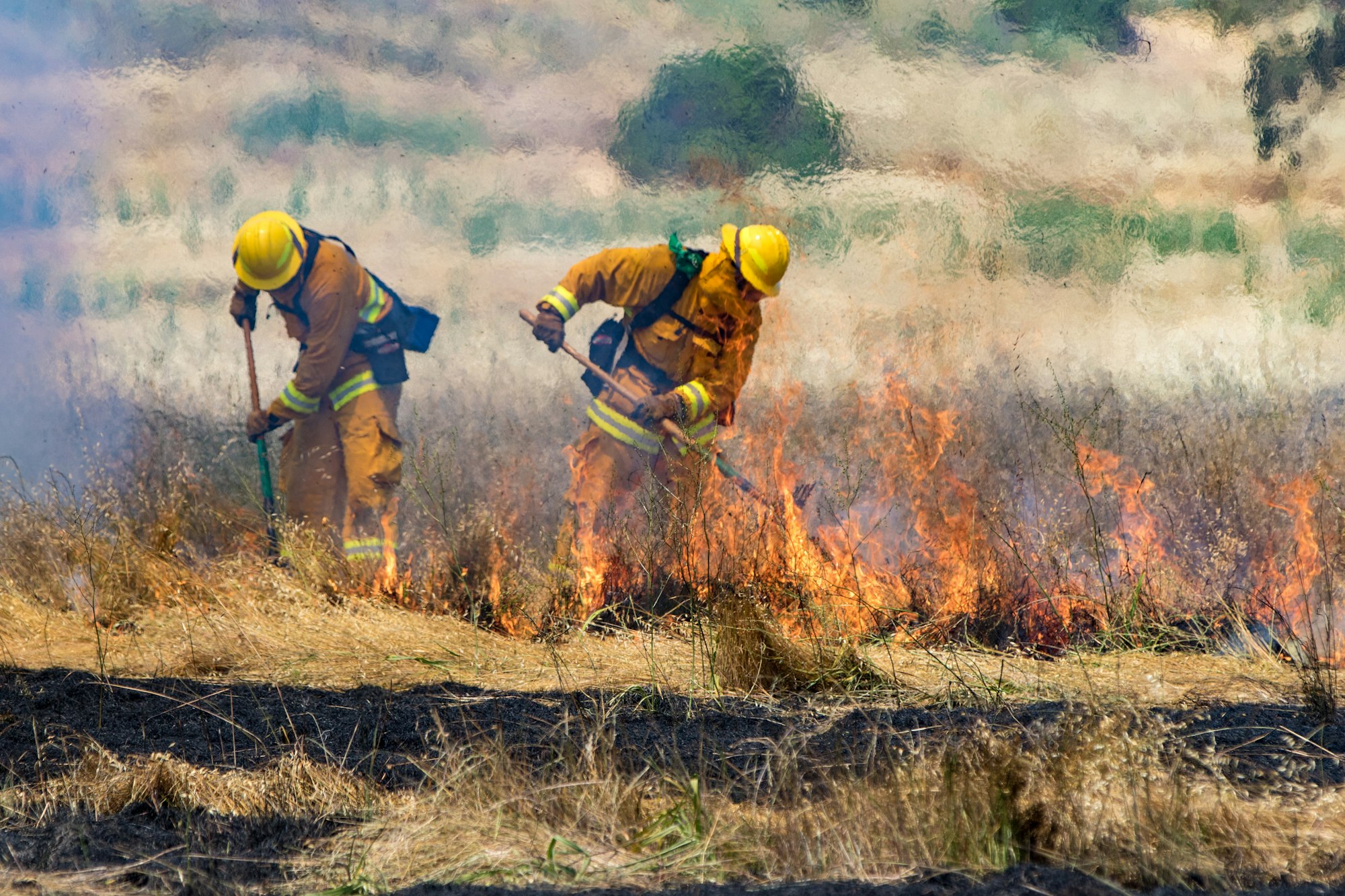 fire fighter fighting grass fire