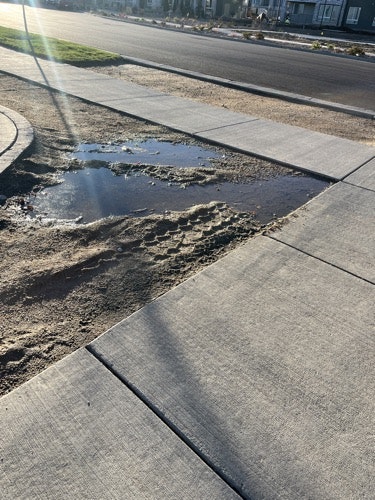 A puddle on a sidewalk near a road with the sun casting rays and shadows.
