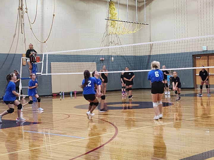 Adult Volleyball Players