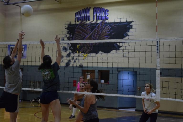 people playing volleyball