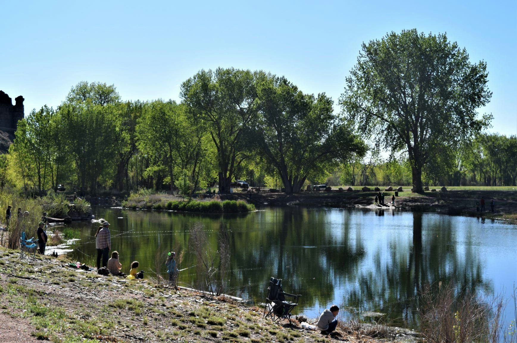 pond at Pathfinder Park