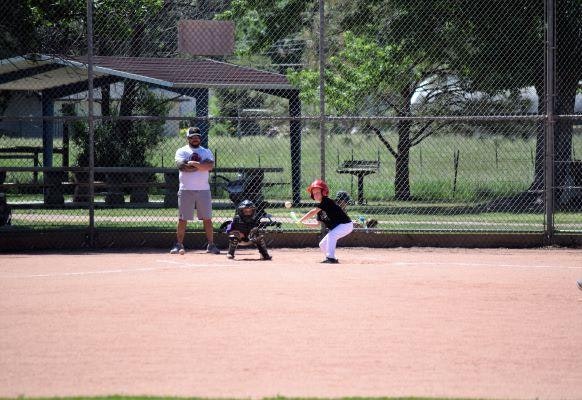 youth baseball players at Rouse park with the picnic pavilion showing in the back