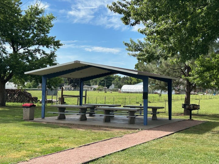 A picnic area with a shelter, tables, a trash can, a barbecue grill, and surrounding trees under a clear sky at Rouse Park
