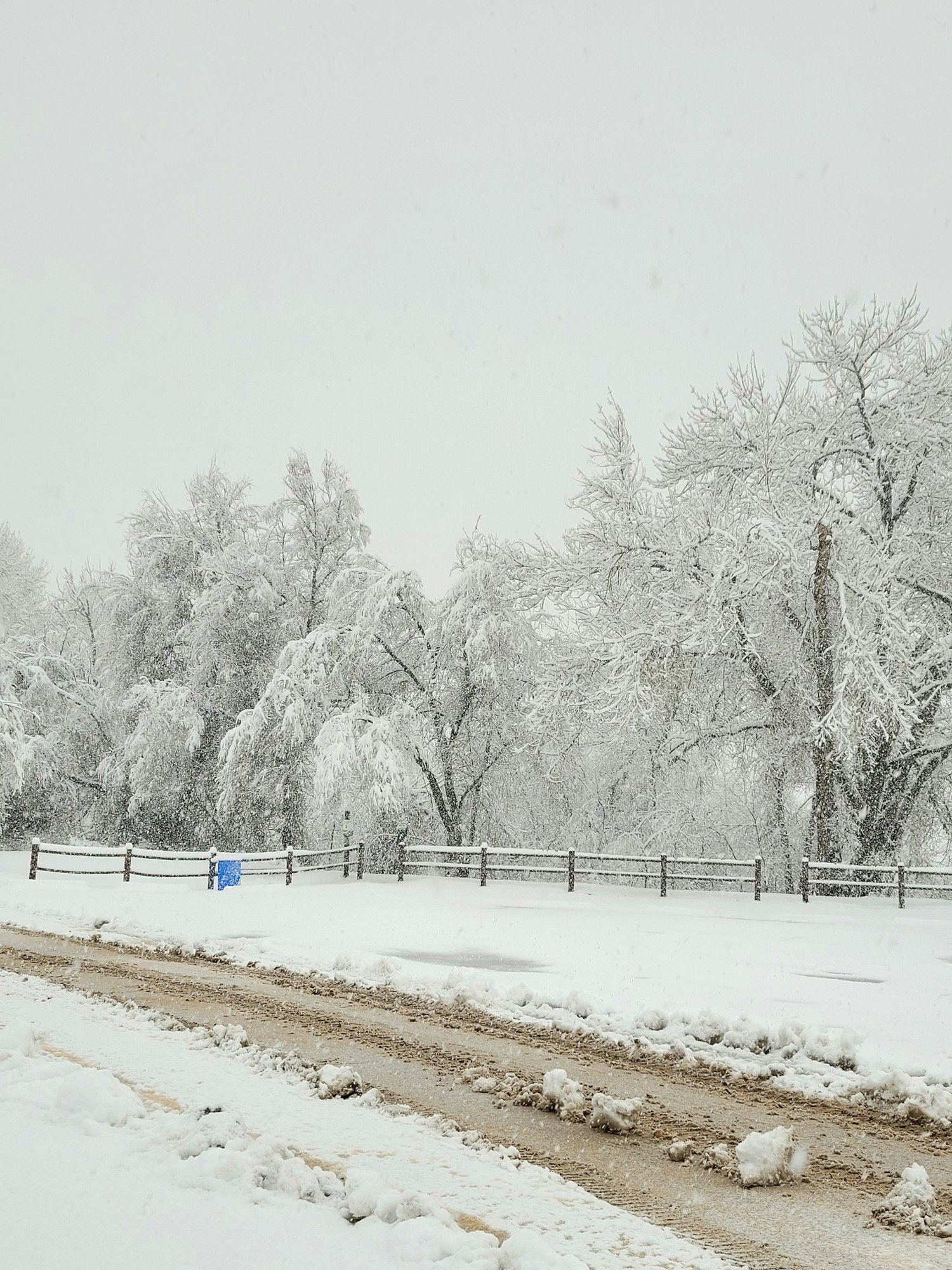 Snow Covered Trailhead for the Arkansas Riverwalk Trail