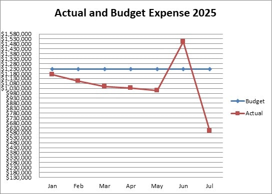Graph of 2025 expenses: Budget is stable; actual expenses drop until May, spike in June, then fall sharply in July.