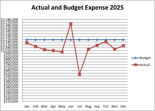 The graph compares actual and budgeted expenses for 2025, showing significant variance in mid-year with a spike in June.