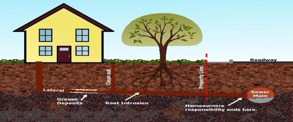 House sewer line diagram showing lateral pipe, root intrusion, property line, and sewer main.