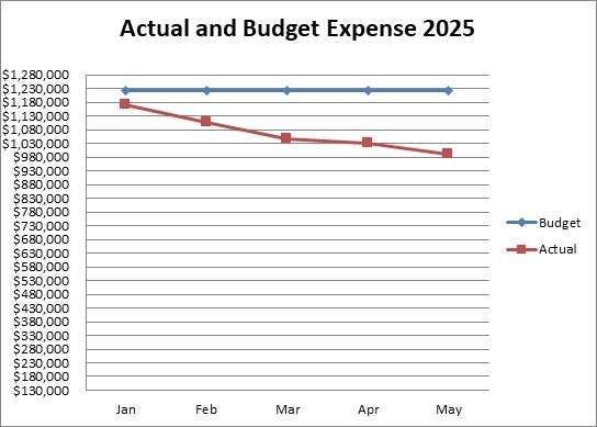 Line graph of budget vs. actual expenses in 2025. Budget is constant, actual decreases from January to May.