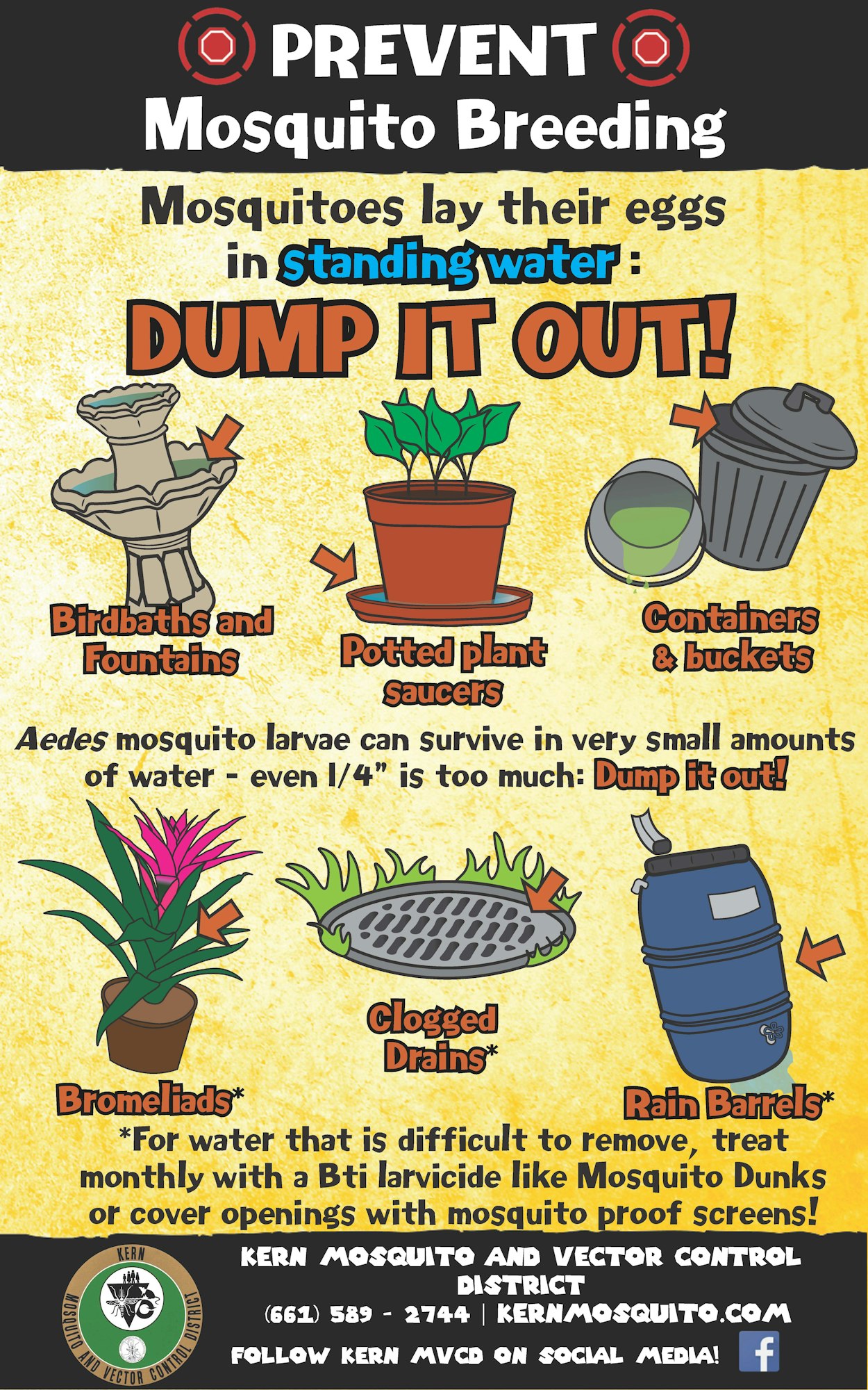 prevent mosquito breeding card