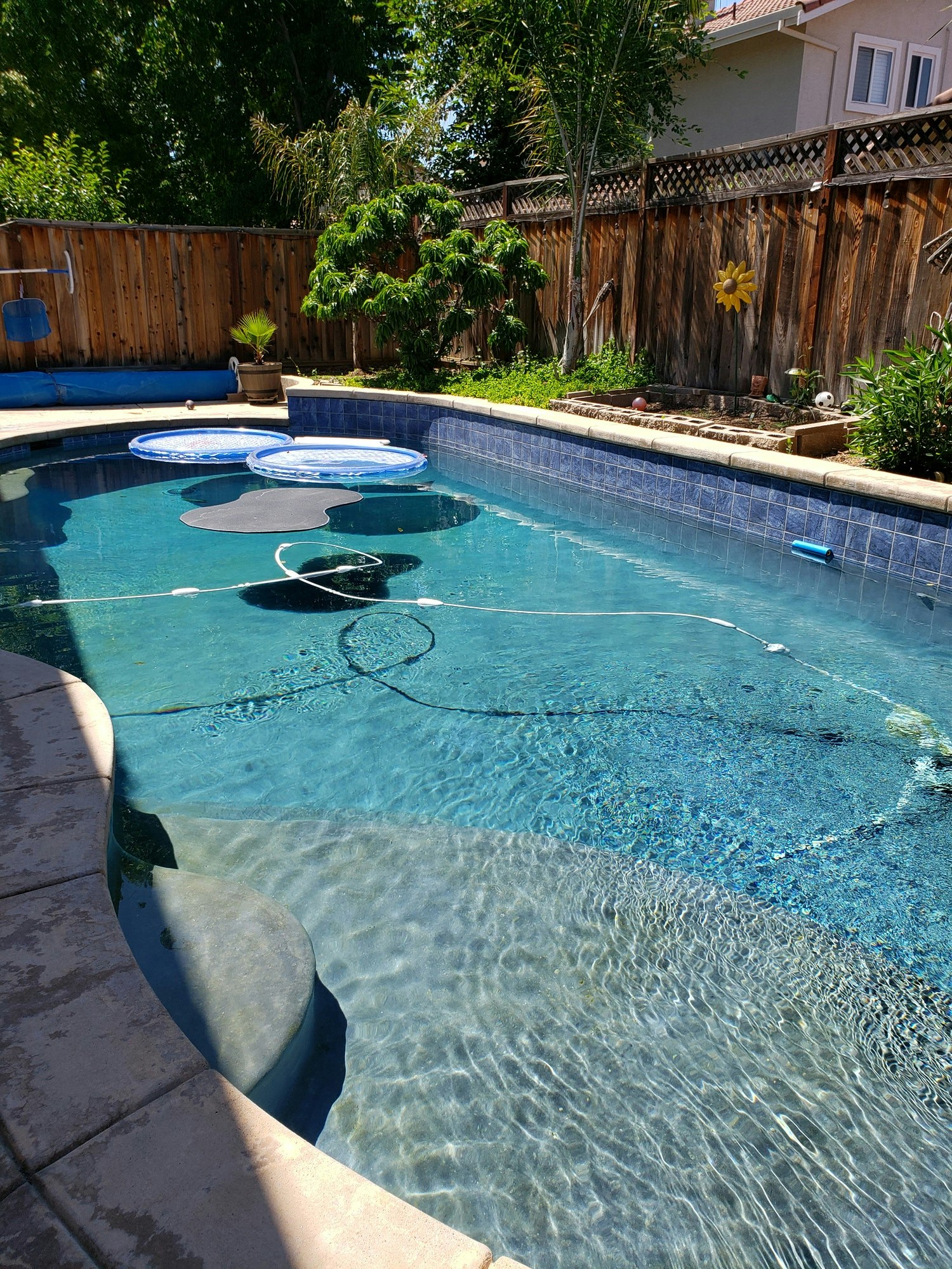 May contain: pool, water, yard, nature, outdoors, swimming pool, and flagstone