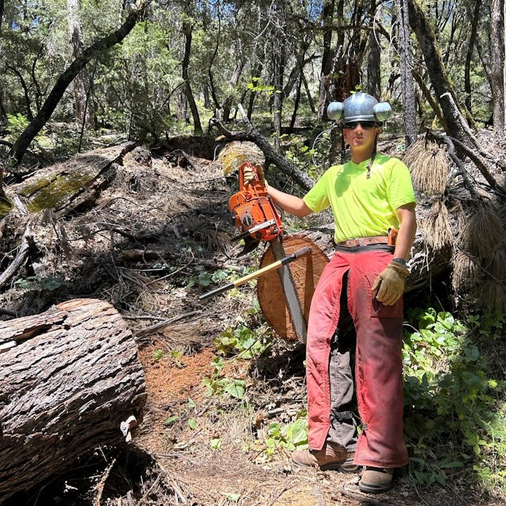 A person in safety gear holds a chainsaw next to a cut tree in a forest.
