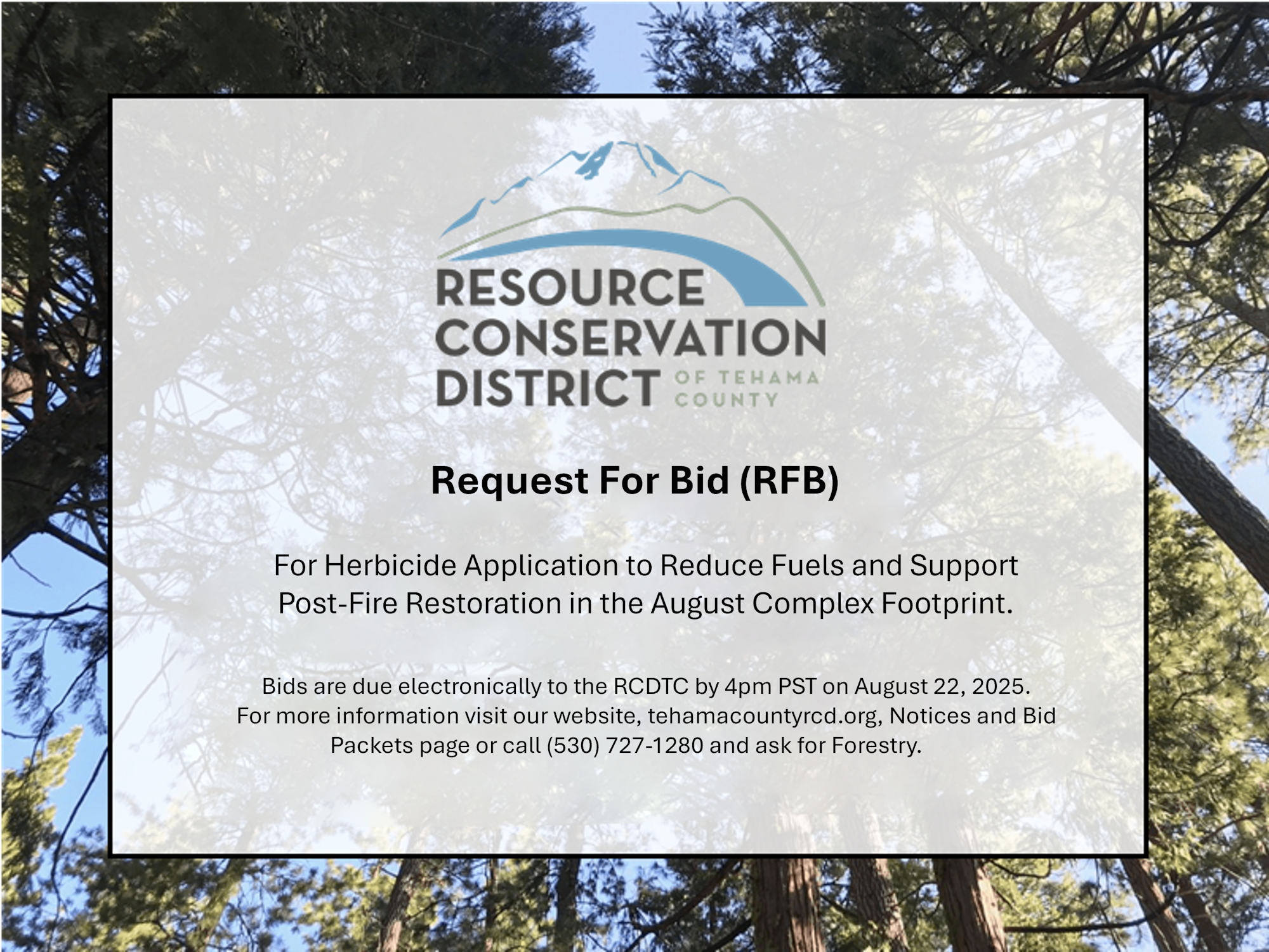 May contain: advertisement, poster, plant, vegetation, and text