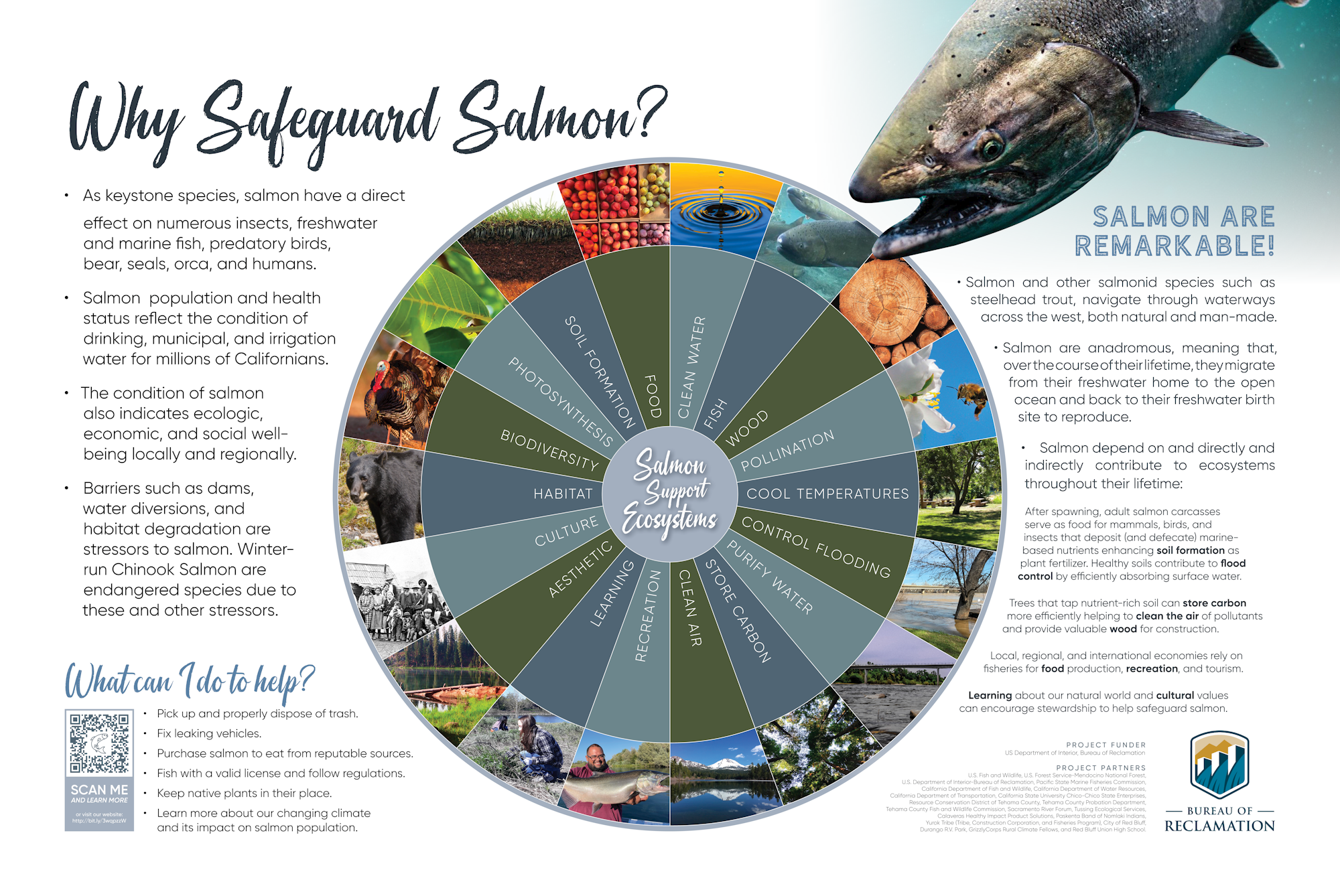For accessible version, see East Sand Slough Interpretive Signs.pdf linked at the bottom of this page