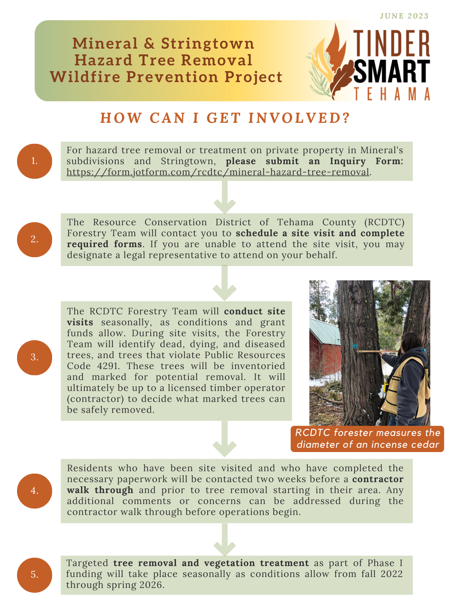 How to get involved flowchart for the Mineral & Stringtown Hazard Tree Removal Project.