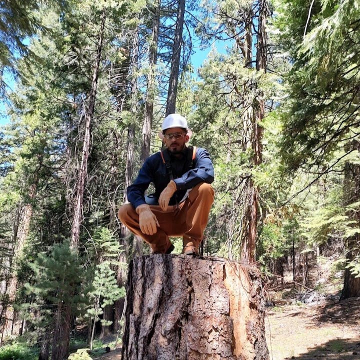 May contain: person, sitting, plant, tree, adult, male, man, accessories, glasses, and helmet
