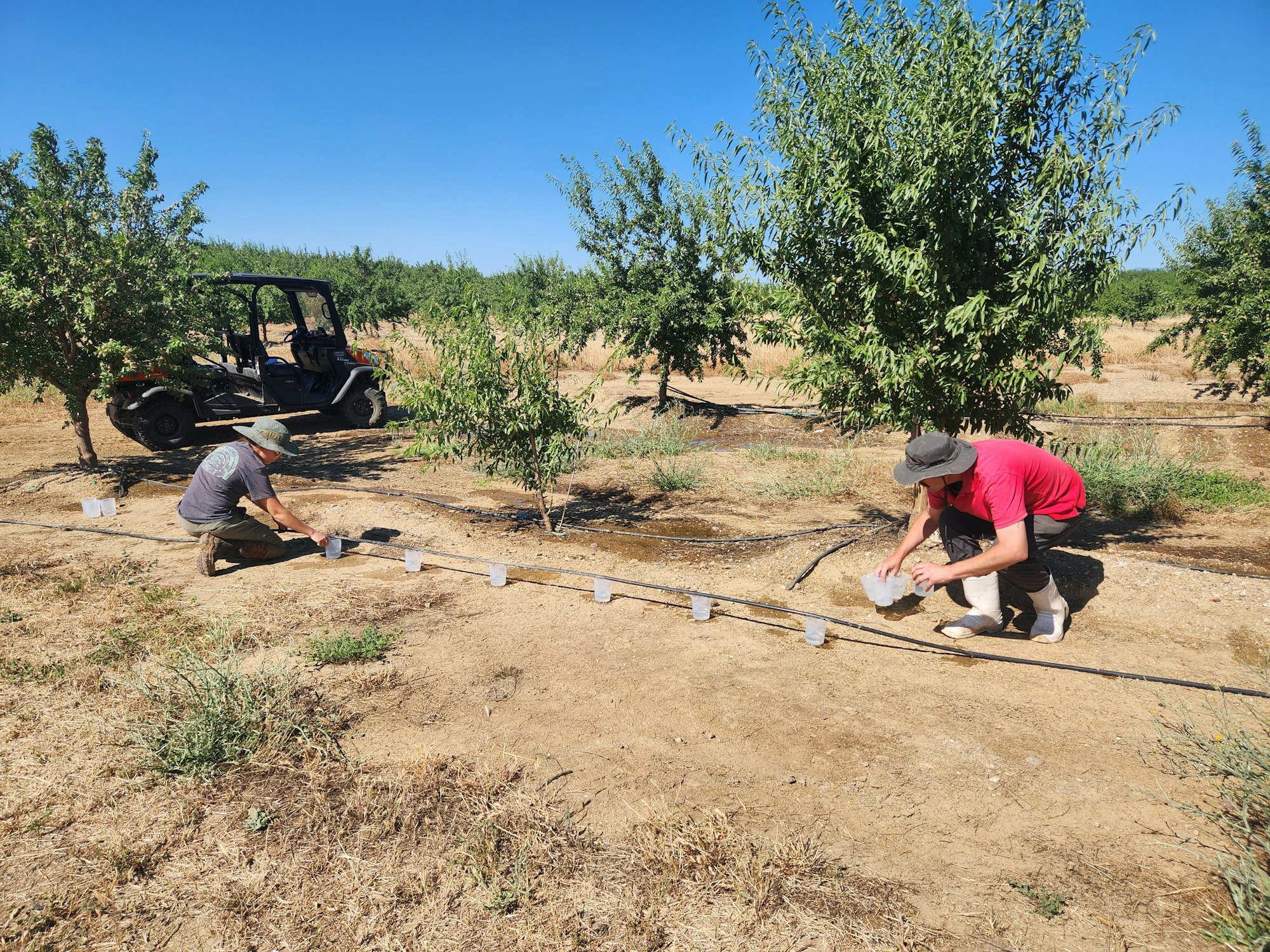 Two people collect soil samples in a field with trees, vehicle in background, clear sky.