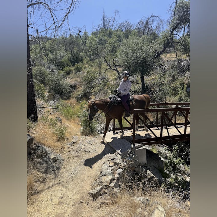 A person riding a horse crosses a small wooden bridge on a rocky trail surrounded by trees.