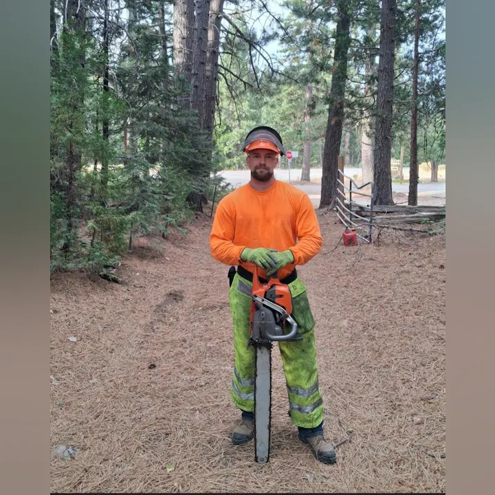 A person in safety gear stands in a forest, holding a chainsaw, ready for tree work. Pine needles cover the ground around them.