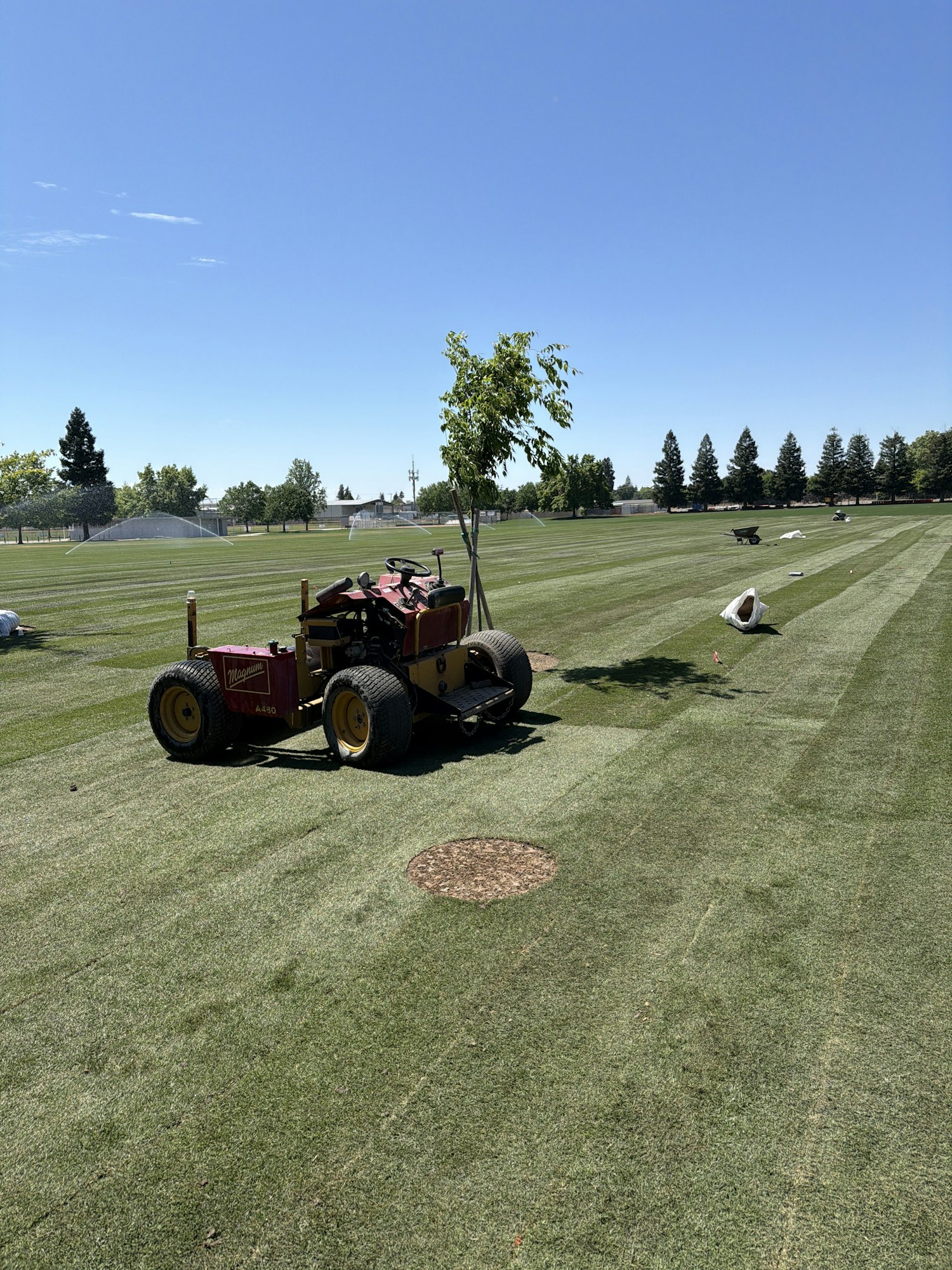 A manicured lawn with a turf machine parked nearby, trees, and sprinklers in a sunny park setting.