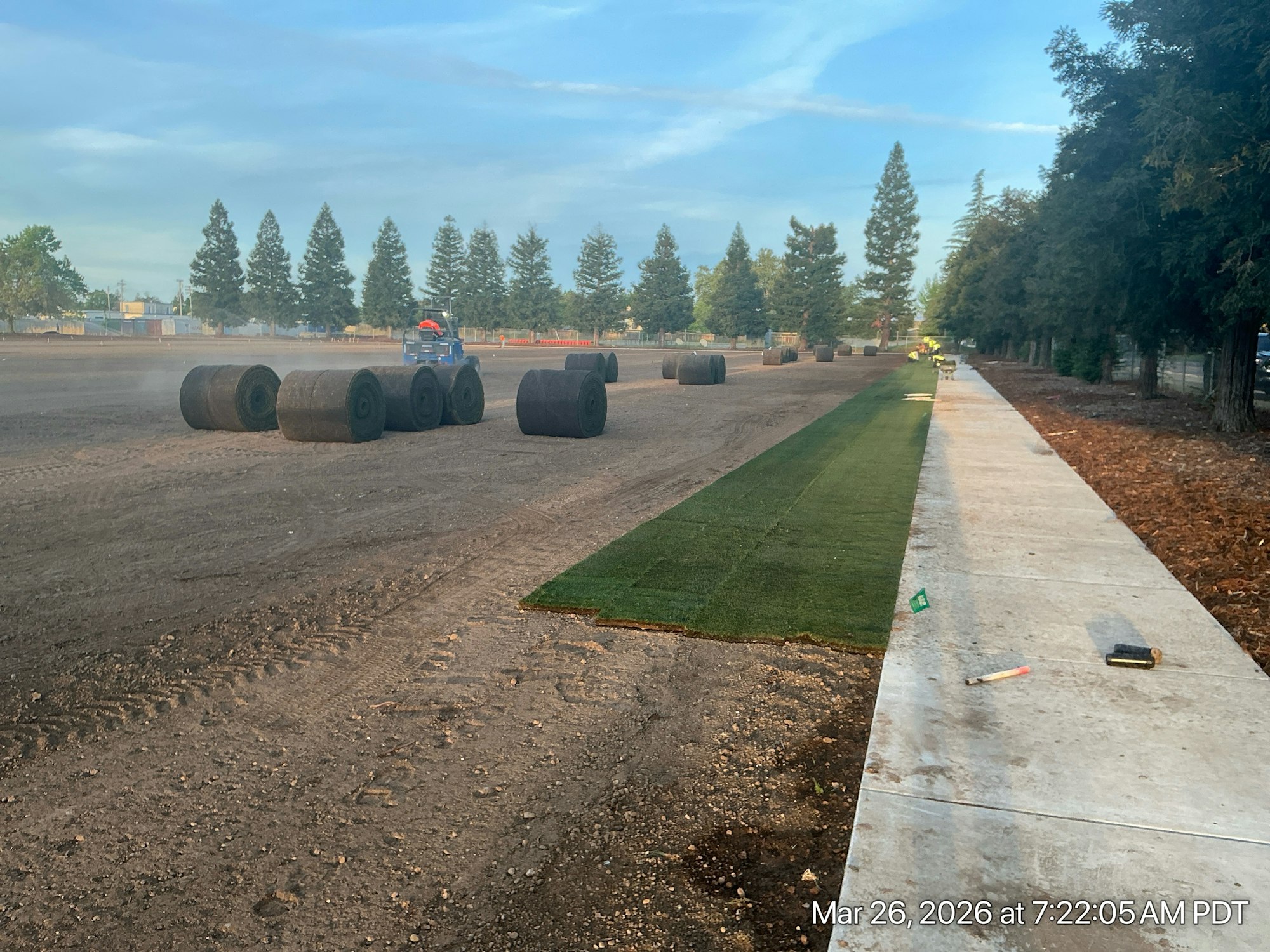 A landscape being prepared, with large rolls of turf on a dirt surface and a nearby sidewalk, under a clear sky.