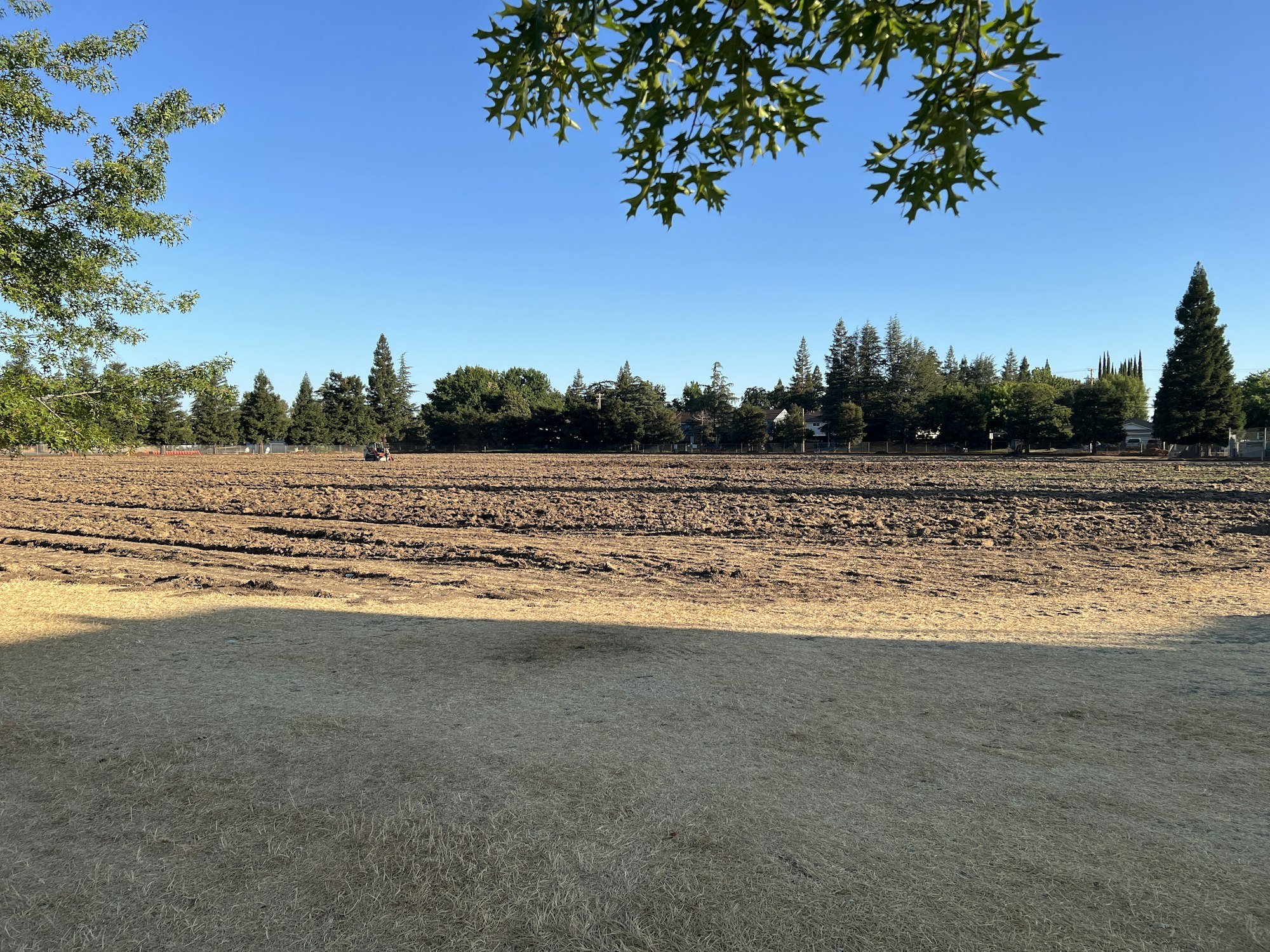 A plowed field with trees and clear blue sky in the background.